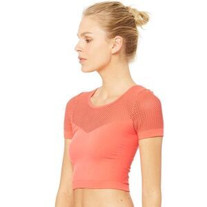 ALO Yoga Mesh Crop Tank Top – Sexy Yoga Top M